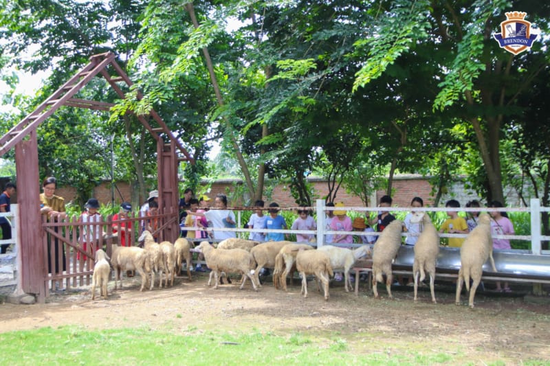 Field trip: Nông trại Giáo dục Dê Trắng